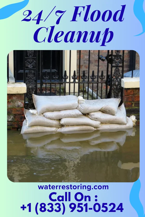 24/7 Flood Cleanup in Edgington, IL